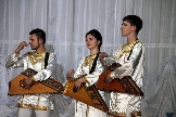 гусли IMG_1458.JPG